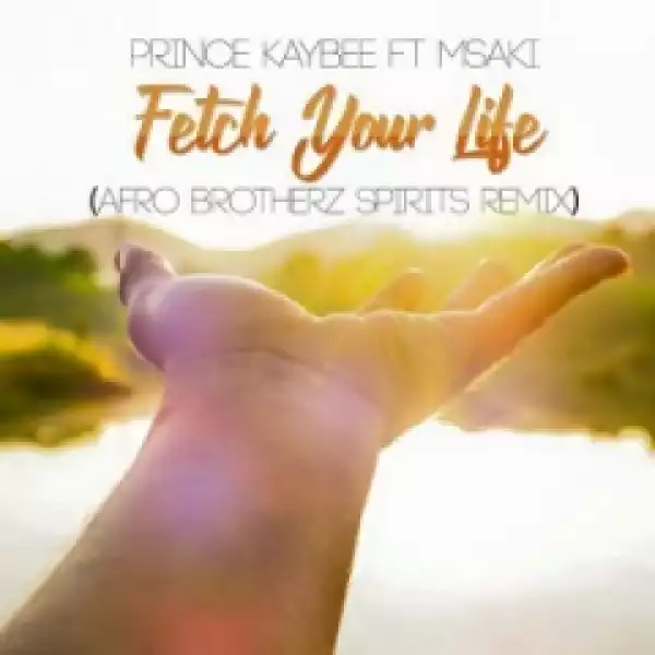Prince Kaybee - Fetch YourLife (Afro Brotherz Spirits Remix) ft. Msaki